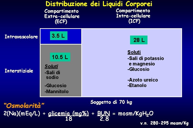 Distribuzione dei Liquidi Corporei Compartimento Extra-cellulare (ECF) Intravascolare 3. 5 L 10. 5 L