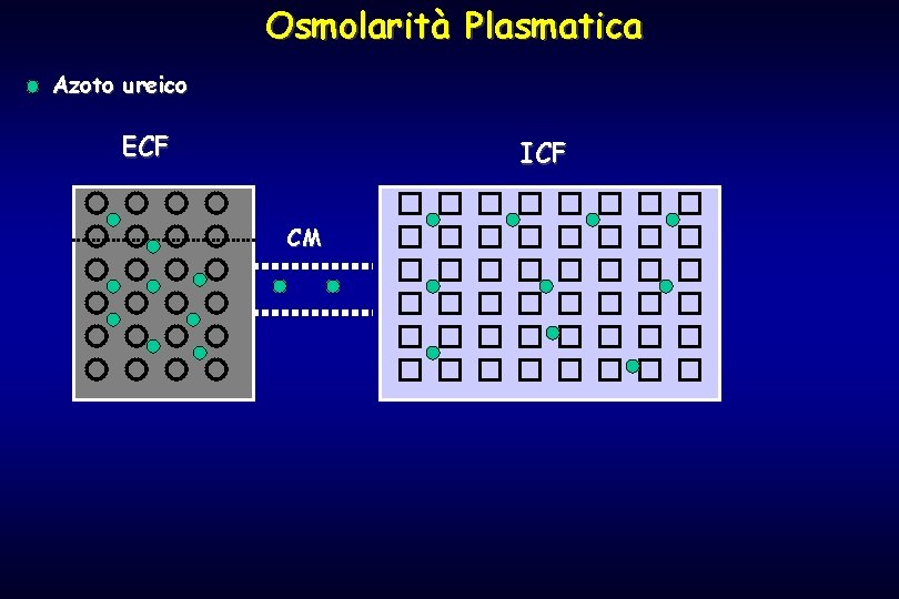 Osmolarità Plasmatica Azoto ureico ECF ICF CM 