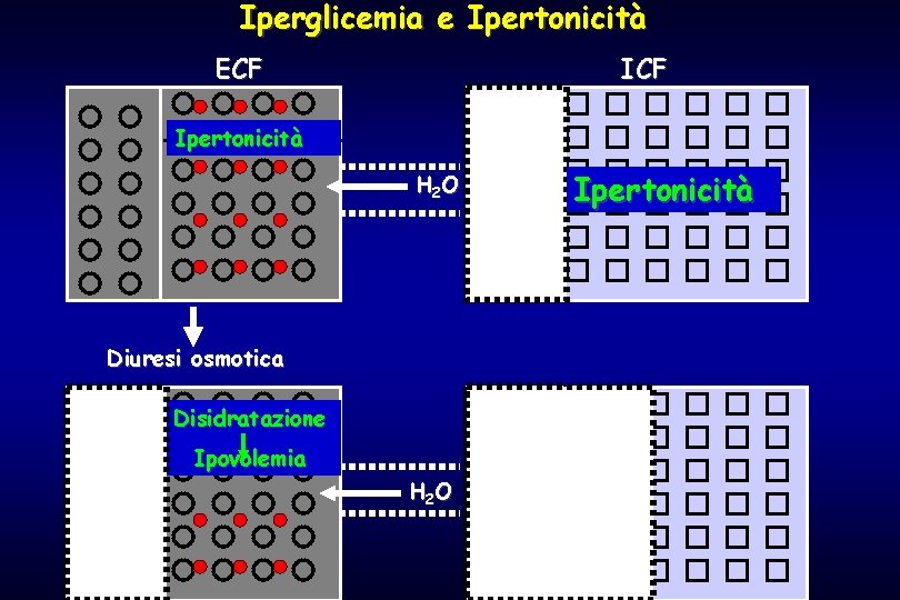 Iperglicemia e Ipertonicità ECF Ipertonicità H 2 O Diuresi osmotica Disidratazione Ipovolemia H 2
