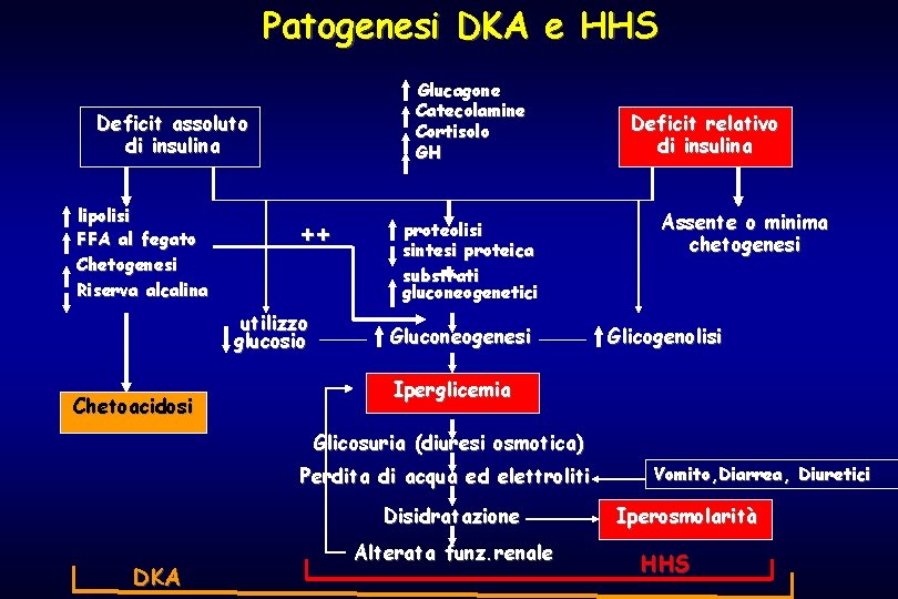 Patogenesi DKA e HHS Glucagone Catecolamine Cortisolo GH Deficit assoluto di insulina lipolisi FFA