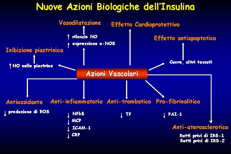 Nuove Azioni Biologiche dell’Insulina Vasodilatazione Inibizione piastrinica rilascio NO espressione e-NOS produzione di ROS
