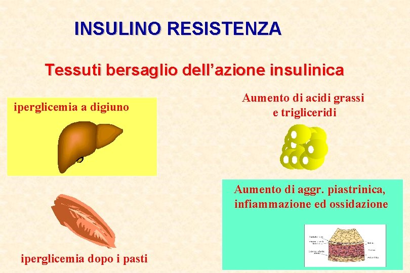 INSULINO RESISTENZA Tessuti bersaglio dell’azione insulinica iperglicemia a digiuno Aumento di acidi grassi e