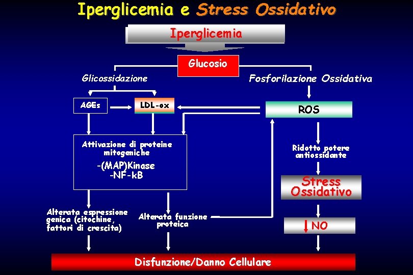 Iperglicemia e Stress Ossidativo Iperglicemia Glucosio Glicossidazione AGEs Fosforilazione Ossidativa LDL-ox Attivazione di proteine