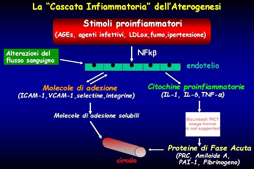 La “Cascata Infiammatoria” dell’Aterogenesi Stimoli proinfiammatori (AGEs, agenti infettivi, LDLox, fumo, ipertensione) NFk Alterazioni