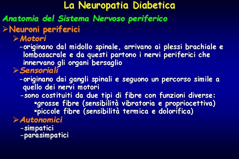 La Neuropatia Diabetica Anatomia del Sistema Nervoso periferico ØNeuroni periferici ØMotori -originano dal midollo