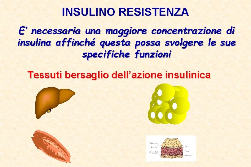INSULINO RESISTENZA E’ necessaria una maggiore concentrazione di insulina affinché questa possa svolgere le