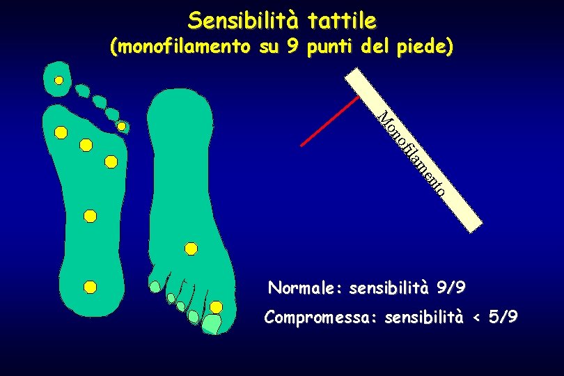 Sensibilità tattile (monofilamento su 9 punti del piede) en am fil o on M