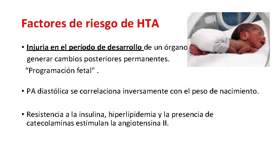 Factores de riesgo de HTA • Injuria en el período de desarrollo de un