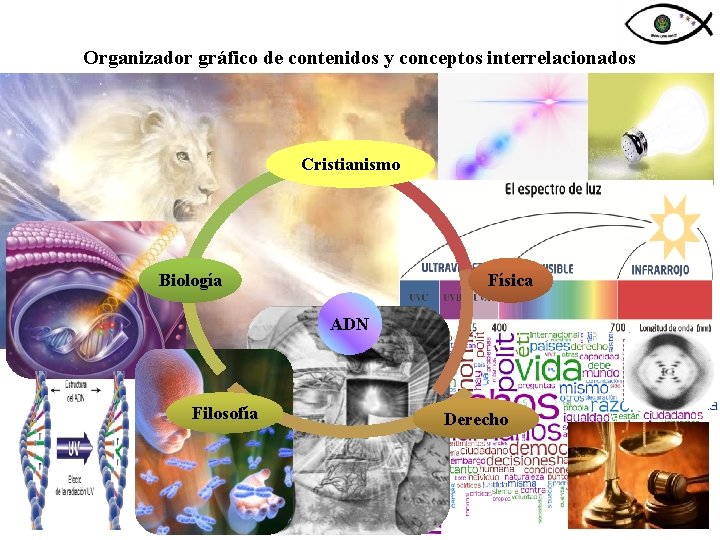 Organizador gráfico de contenidos y conceptos interrelacionados Cristianismo Biología Física ADN Filosofía Derecho 