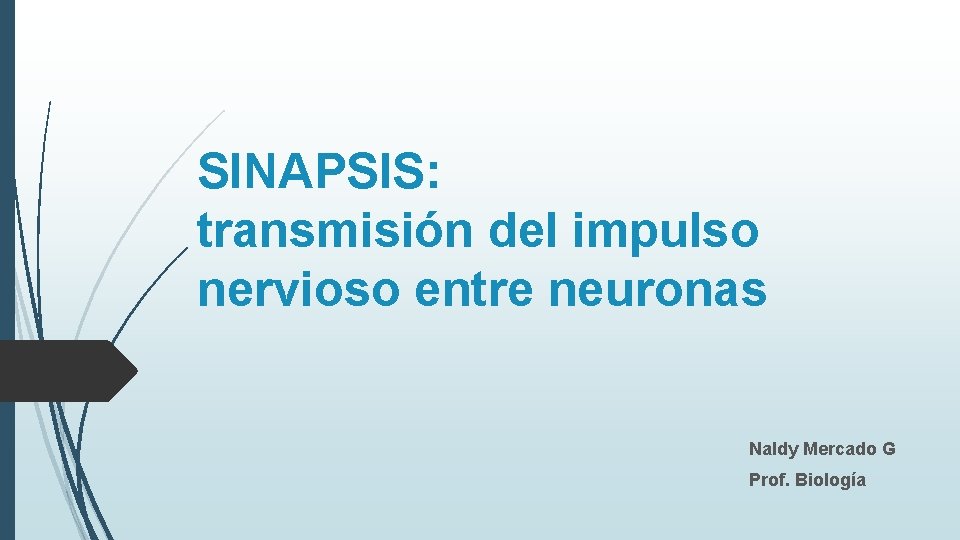 SINAPSIS: transmisión del impulso nervioso entre neuronas Naldy Mercado G Prof. Biología 