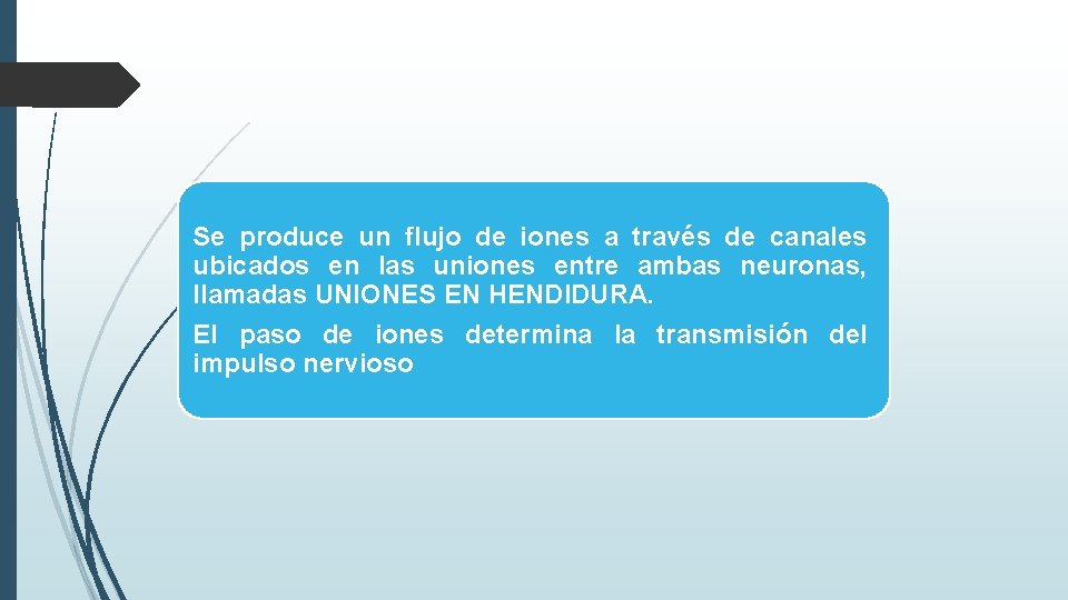 Se produce un flujo de iones a través de canales ubicados en las uniones