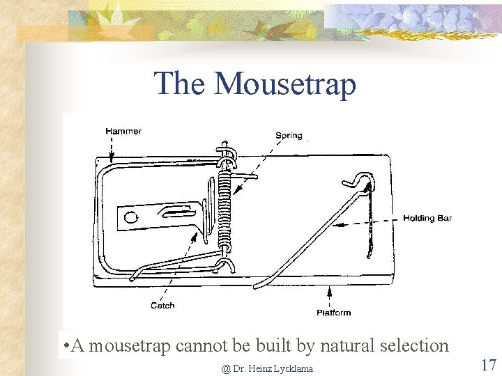 The Mousetrap • A mousetrap cannot be built by natural selection @ Dr. Heinz