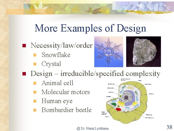 More Examples of Design n Necessity/law/order n n n Snowflake Crystal Design – irreducible/specified
