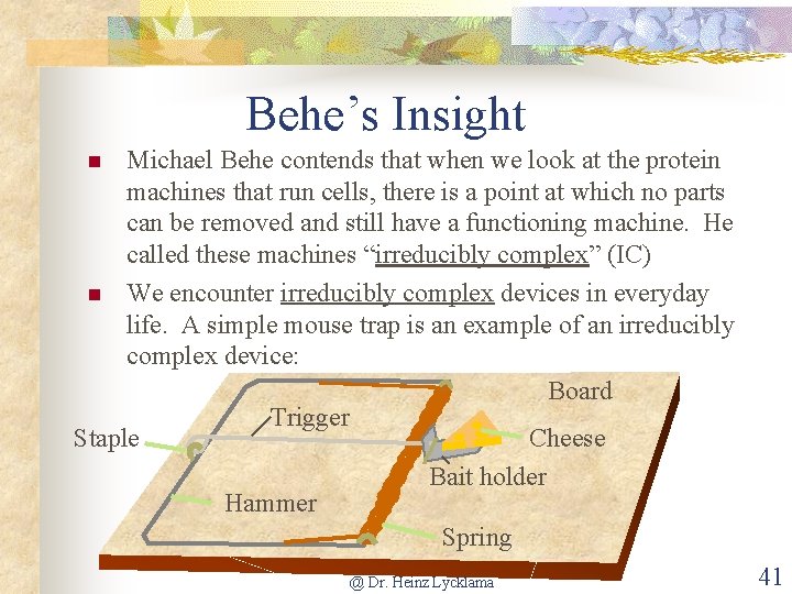 Behe’s Insight Michael Behe contends that when we look at the protein machines that