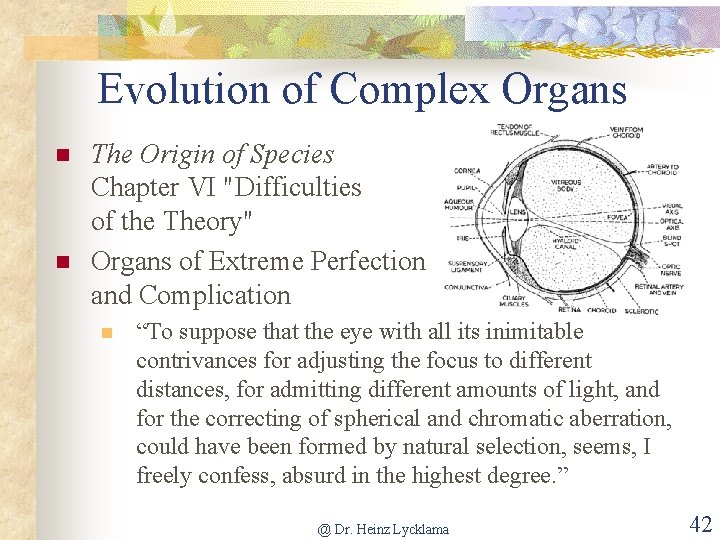 Evolution of Complex Organs n n The Origin of Species Chapter VI "Difficulties of