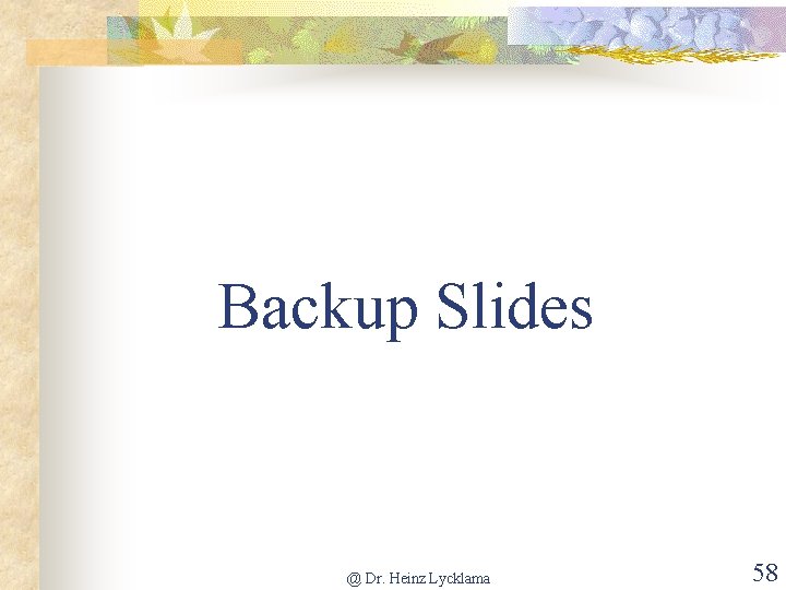 Backup Slides @ Dr. Heinz Lycklama 58 