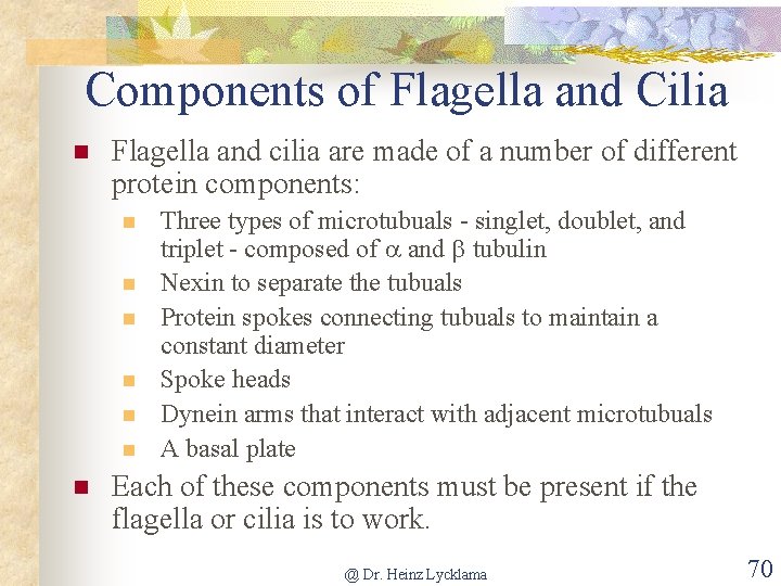 Components of Flagella and Cilia n Flagella and cilia are made of a number