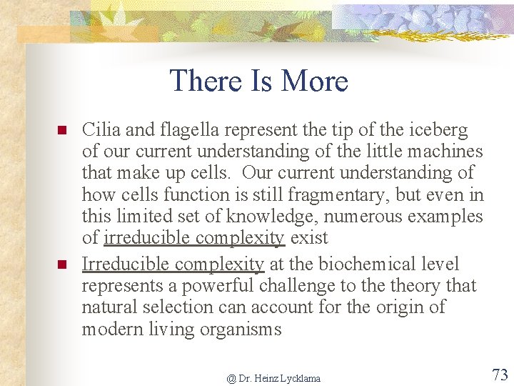 There Is More n n Cilia and flagella represent the tip of the iceberg