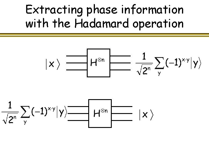 Extracting phase information with the Hadamard operation 