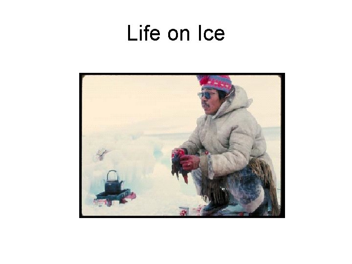 Life on Ice 