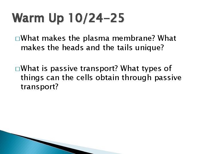 Warm Up 10/24 -25 � What makes the plasma membrane? What makes the heads