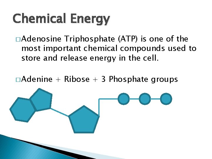 Chemical Energy � Adenosine Triphosphate (ATP) is one of the most important chemical compounds