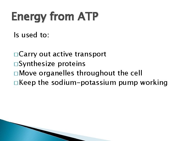 Energy from ATP Is used to: � Carry out active transport � Synthesize proteins