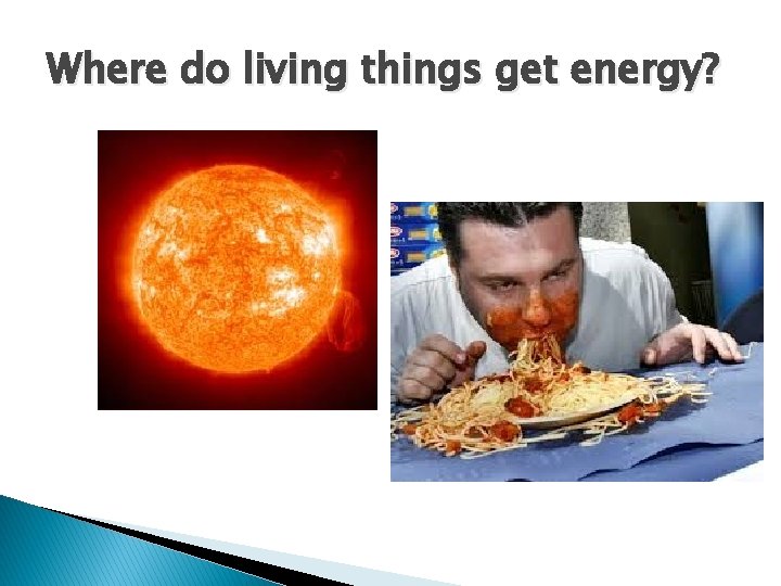 Where do living things get energy? 