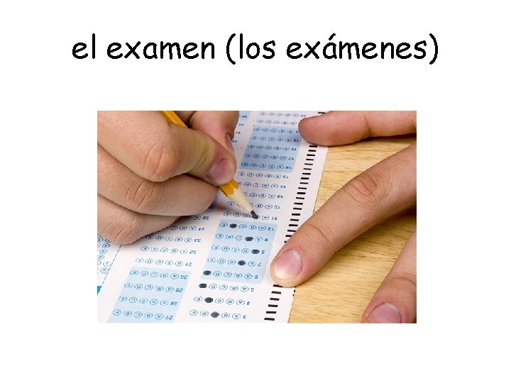 el examen (los exámenes) 
