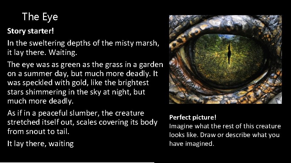 The Eye Story starter! In the sweltering depths of the misty marsh, it lay