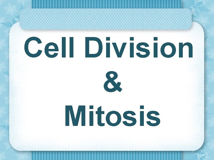 Cell Division & Mitosis 