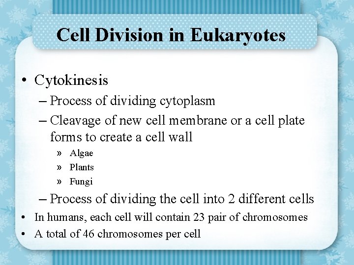 Cell Division in Eukaryotes • Cytokinesis – Process of dividing cytoplasm – Cleavage of