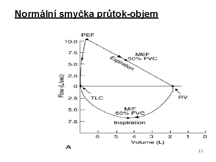 Normální smyčka průtok-objem 11 