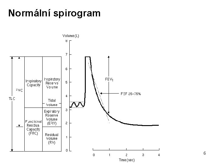 Normální spirogram 6 