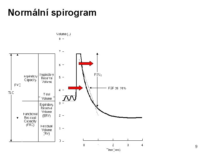 Normální spirogram 9 