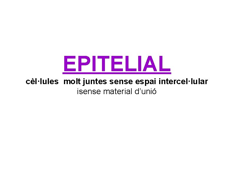 EPITELIAL cèl·lules molt juntes sense espai intercel·lular isense material d’unió 