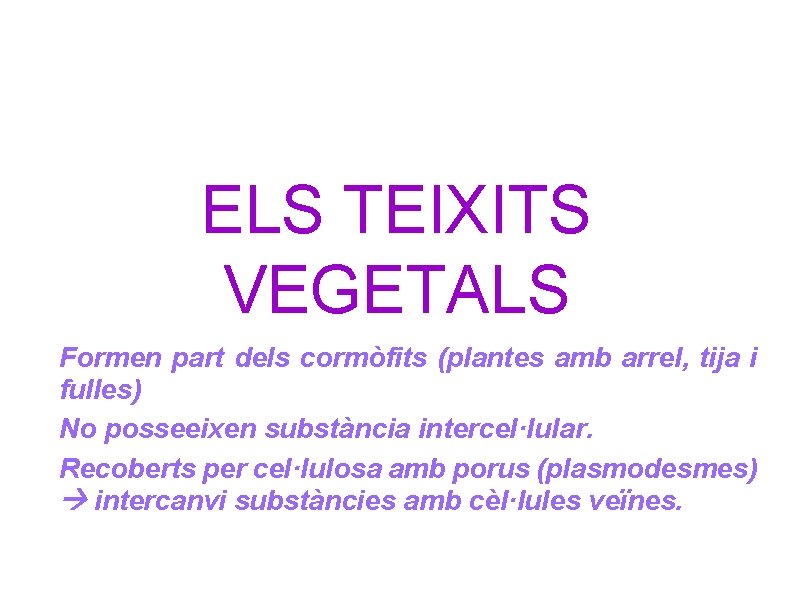 ELS TEIXITS VEGETALS Formen part dels cormòfits (plantes amb arrel, tija i fulles) No