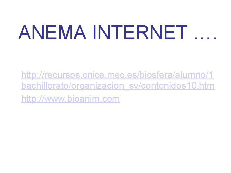 ANEMA INTERNET …. http: //recursos. cnice. mec. es/biosfera/alumno/1 bachillerato/organizacion_sv/contenidos 10. htm http: //www. bioanim.