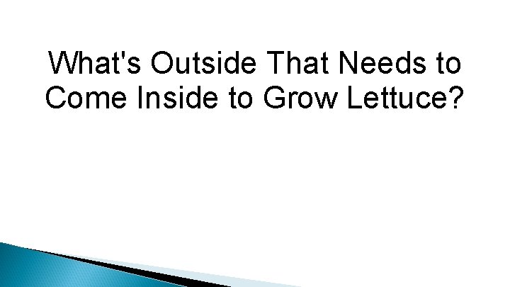 What's Outside That Needs to Come Inside to Grow Lettuce? 