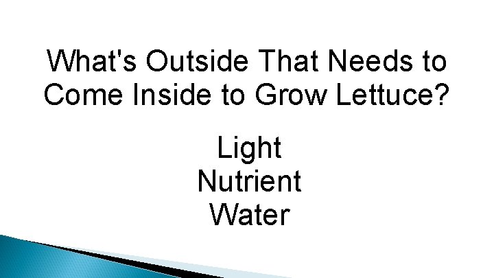 What's Outside That Needs to Come Inside to Grow Lettuce? Light Nutrient Water 