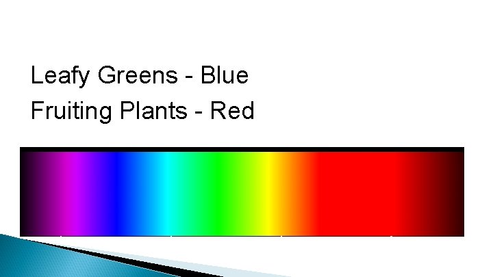 Leafy Greens - Blue Fruiting Plants - Red 