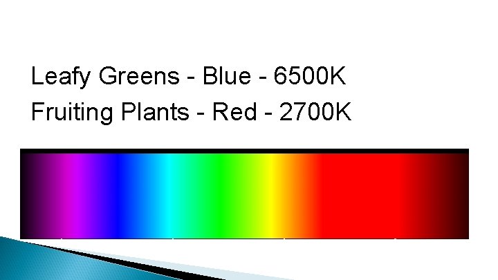 Leafy Greens - Blue - 6500 K Fruiting Plants - Red - 2700 K