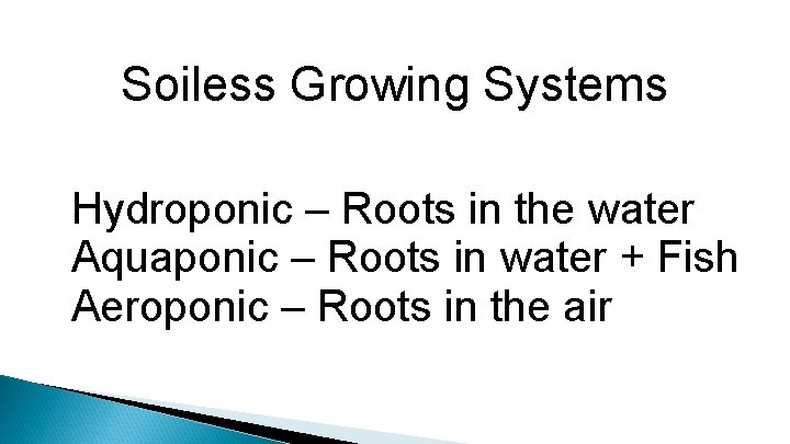 Soiless Growing Systems Hydroponic – Roots in the water Aquaponic – Roots in water