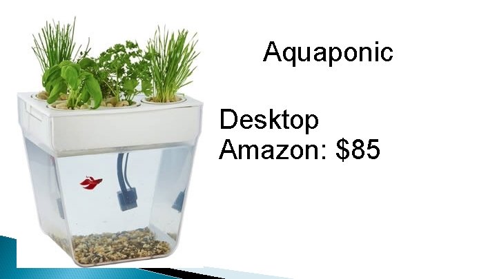 Aquaponic Desktop Amazon: $85 