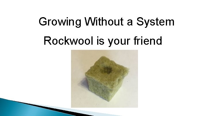 Growing Without a System Rockwool is your friend 