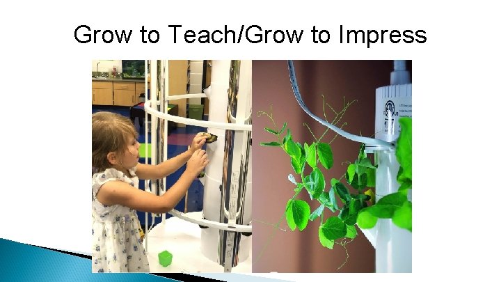Grow to Teach/Grow to Impress 