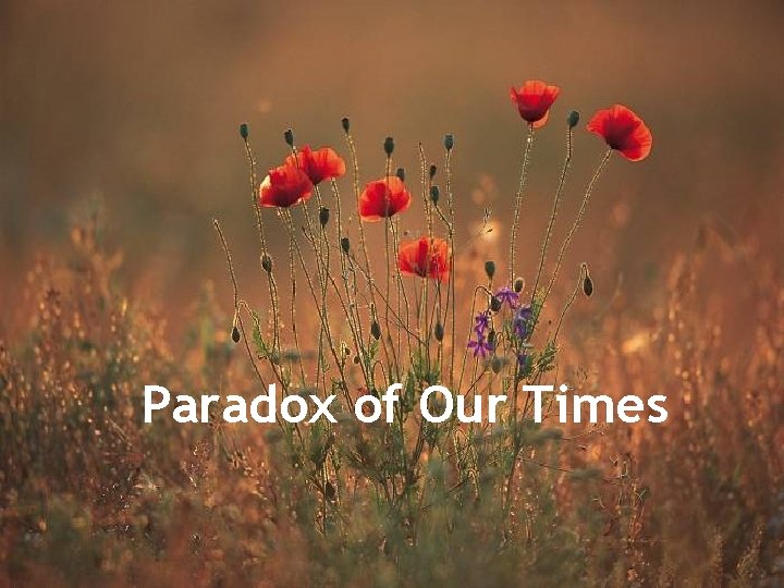 Paradox of Our Times 