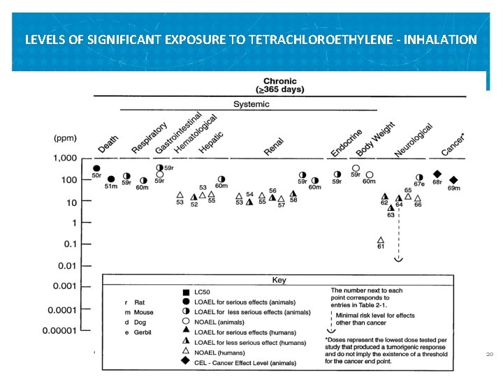 LEVELS OF SIGNIFICANT EXPOSURE TO TETRACHLOROETHYLENE - INHALATION VETERANS HEALTH ADMINISTRATION 20 LEVELS OF SIGNIFICANT EXPOSURE TO TETRACHLOROETHYLENE - INHALATION VETERANS HEALTH ADMINISTRATION 20