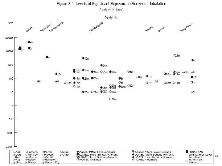 VETERANS HEALTH ADMINISTRATION 24 VETERANS HEALTH ADMINISTRATION 24