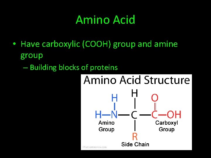 Amino Acid • Have carboxylic (COOH) group and amine group – Building blocks of
